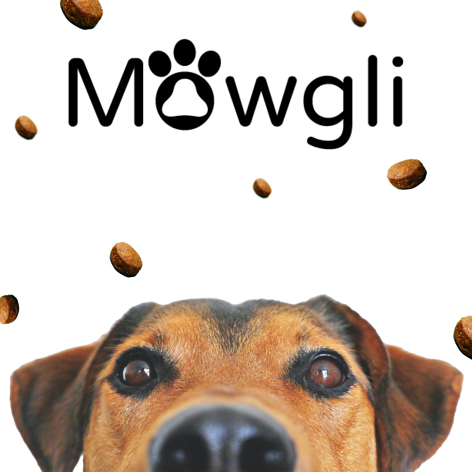 Mowgli