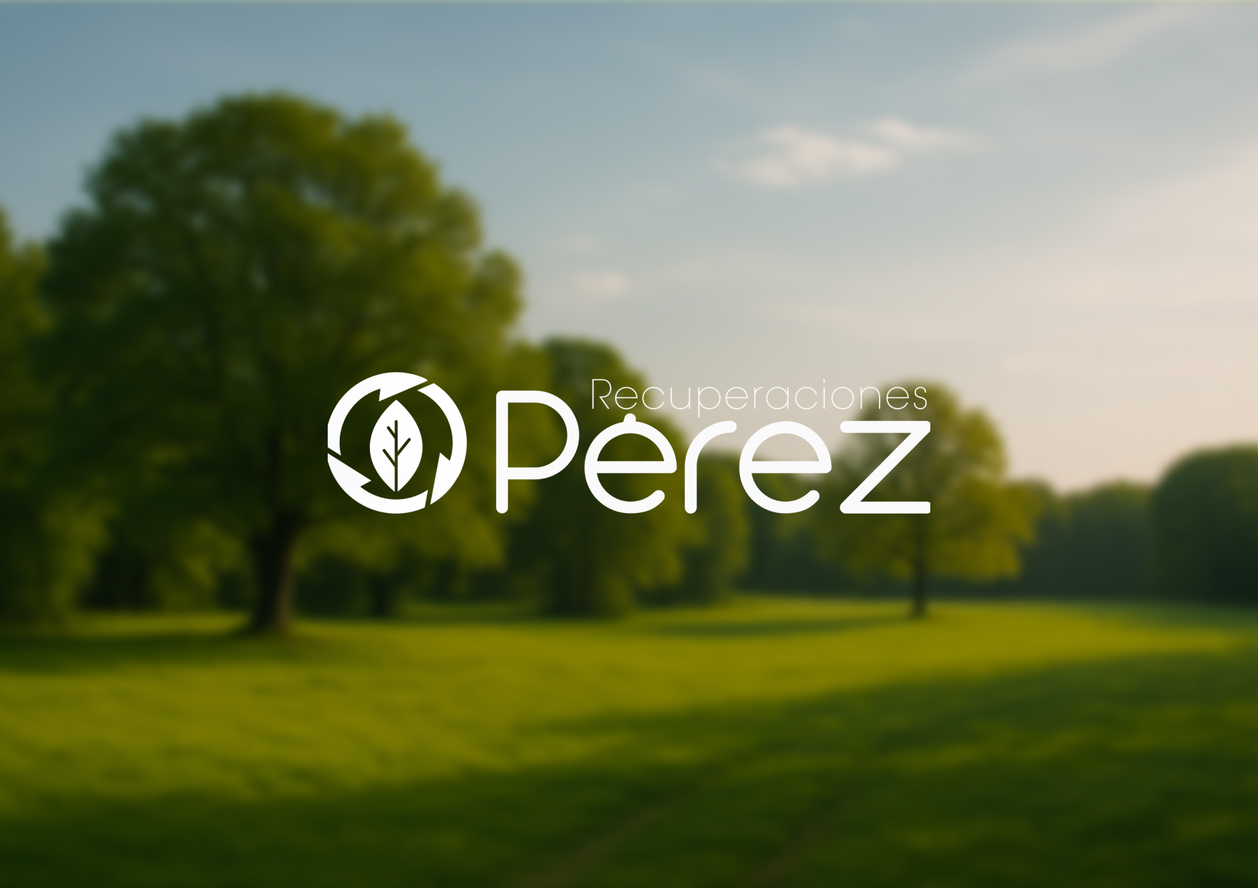 Recuperaciones Pérez